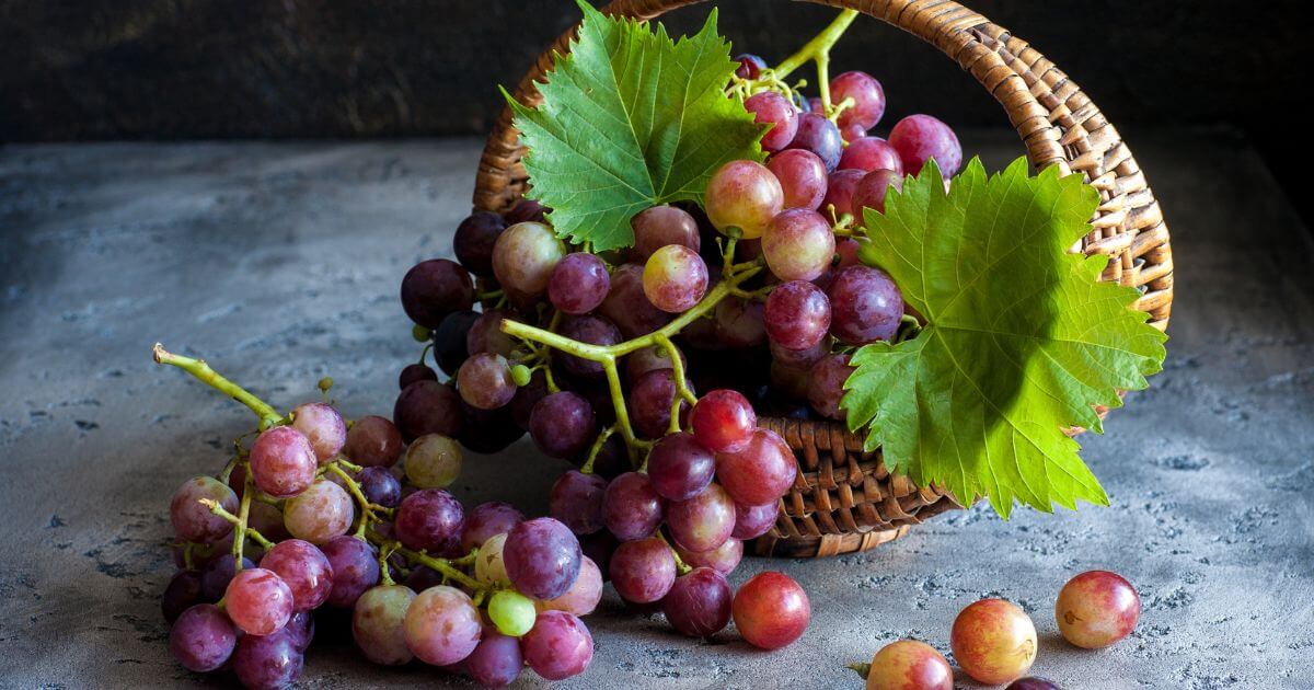 How good are grapes for weight loss?