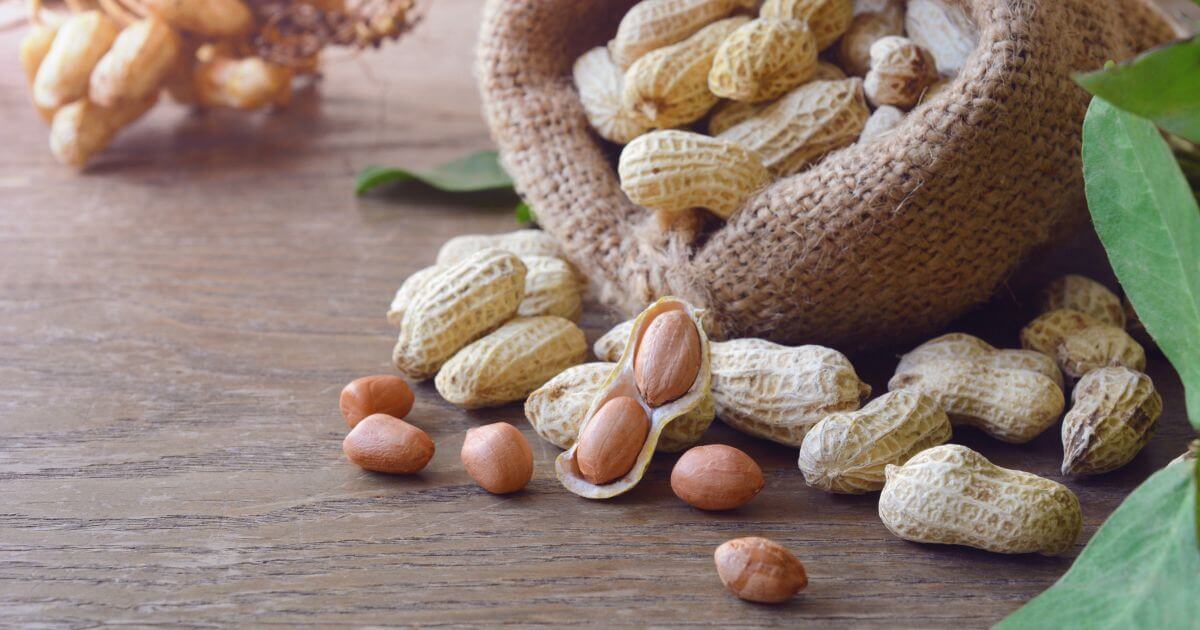 How peanuts affect weight loss