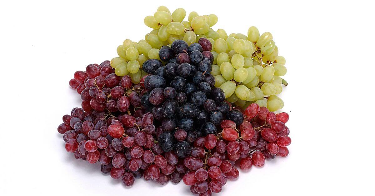 What are the best grapes for weight loss?